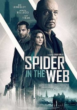 فيلم Spider in the Web 2019 مترجم